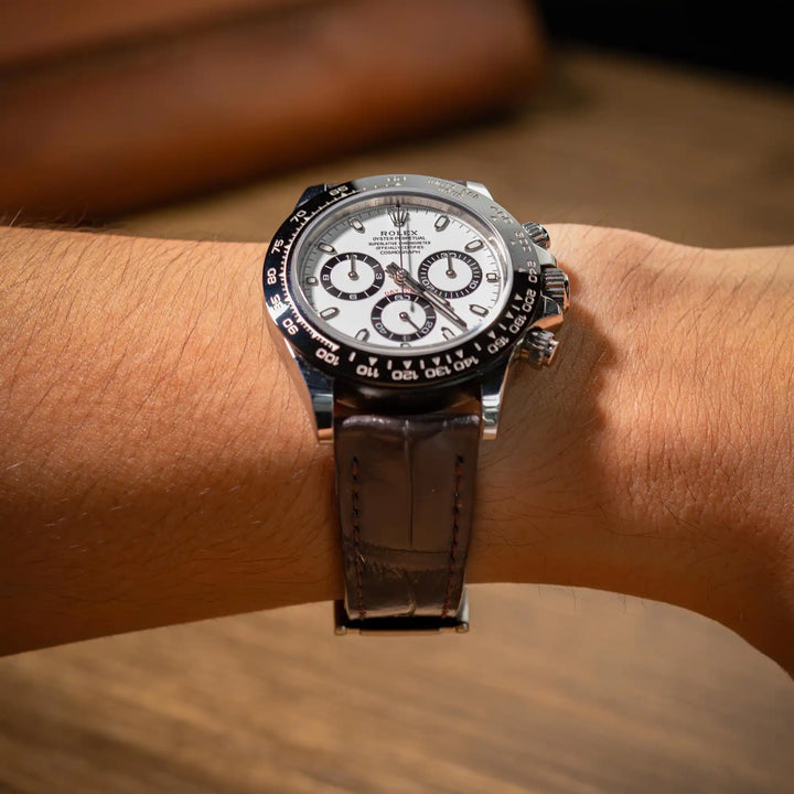 Dark Brown Croco